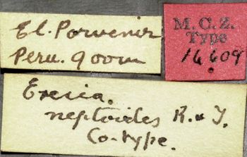 Media type: image;   Entomology 16609 Aspect: labels